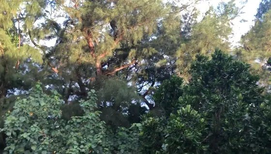 部屋からの景色