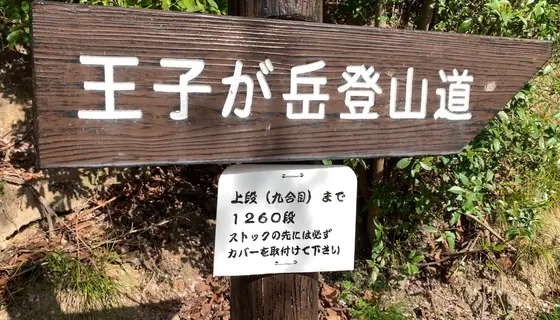 9合目までは、1,260段の階段を登ります🥾