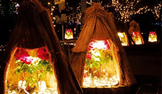 ニューイヤーイルミネーション