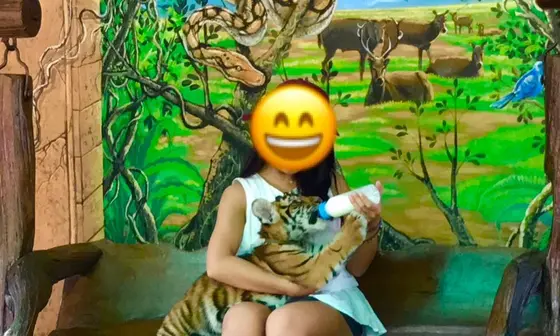 赤ちゃんライオン🦁