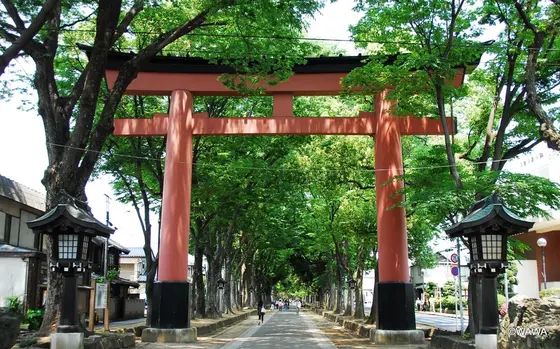 武蔵一宮　氷川神社　大宮氷川神社　さいたま市