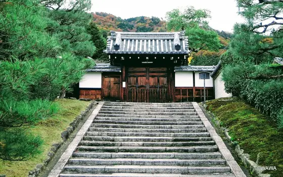 霊鑑寺