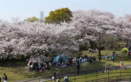 見晴らし山からは..
