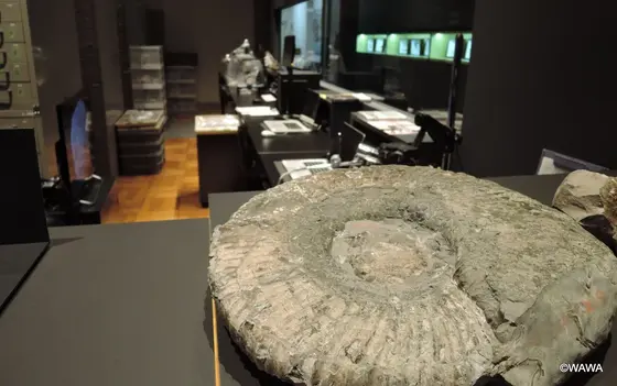 東京大学総合研究博物館 本館