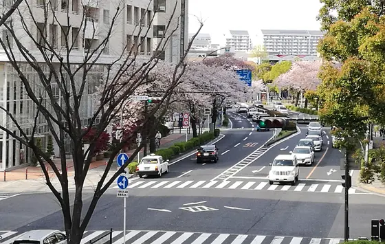 イオン前の本牧通り