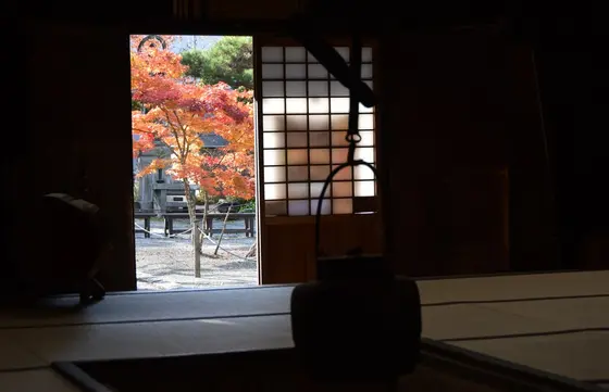 紅葉の定勝寺＜2＞