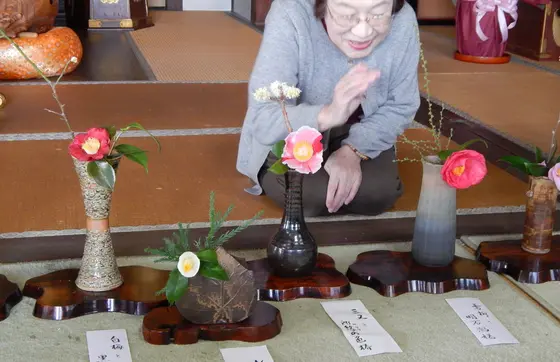 ご住職の奥さまの椿を慈しむ解説も聞けますよ