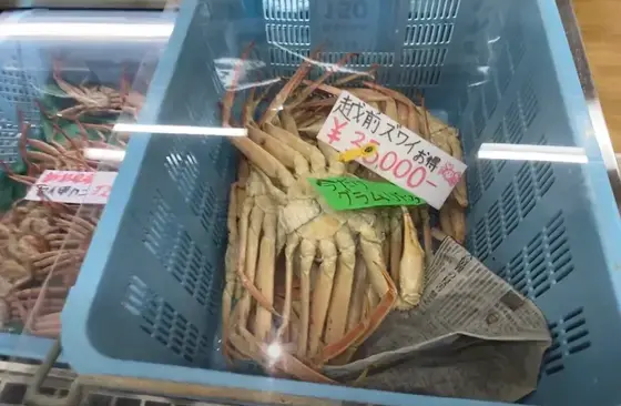店内