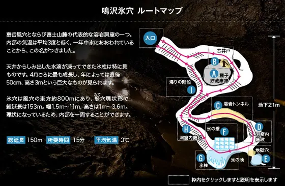 天然記念物の「竪」穴型洞窟
