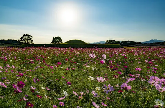 【10月〜11月】西都原古墳群