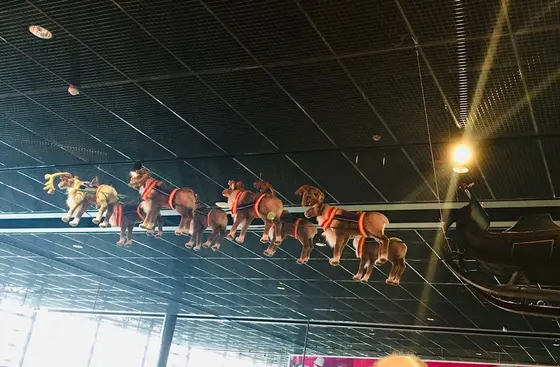 見上げるとトナカイたちが