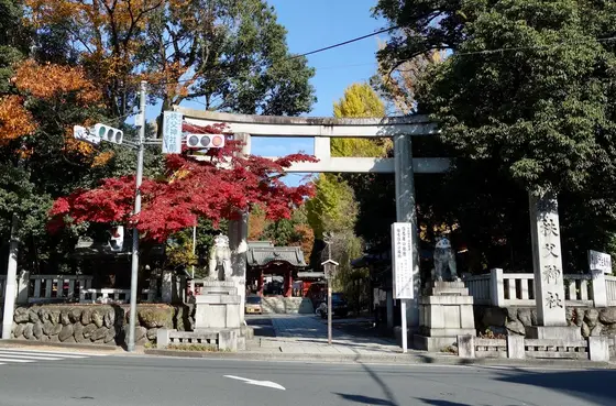 紅葉の季節