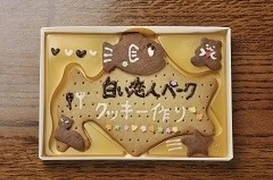 クッキー作り体験