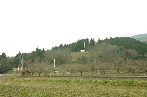 決戦地から