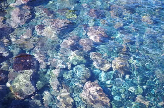 水がきれいです