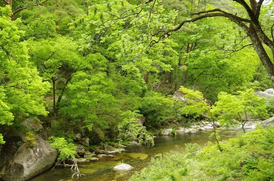 ずっと川沿い