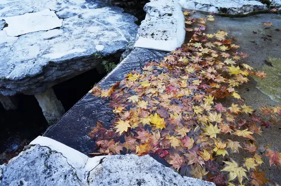 、