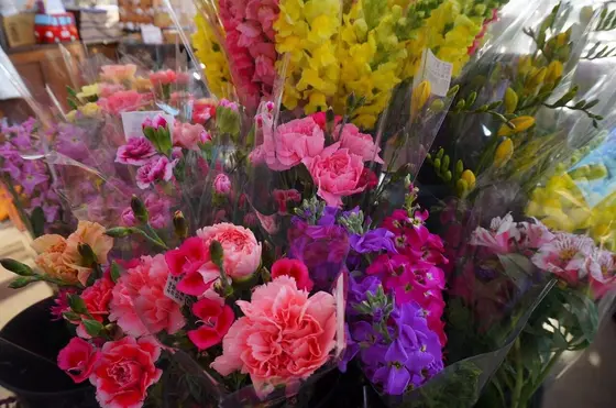 お花
