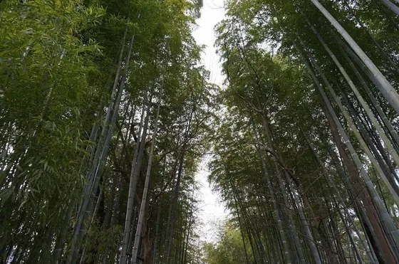 下からアングル