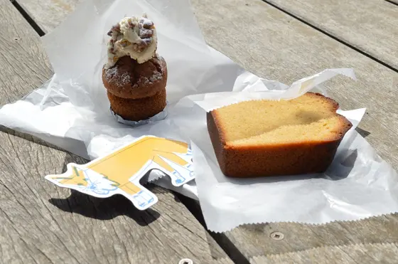 スポット内のおすすめ