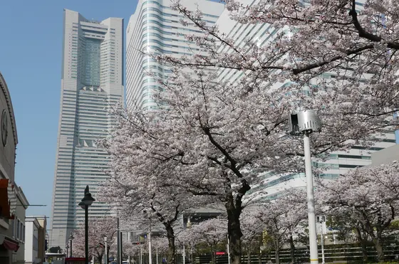 ランドマークの先は..