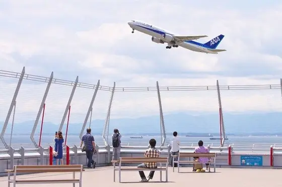 スカイデッキで飛行機を見よう！