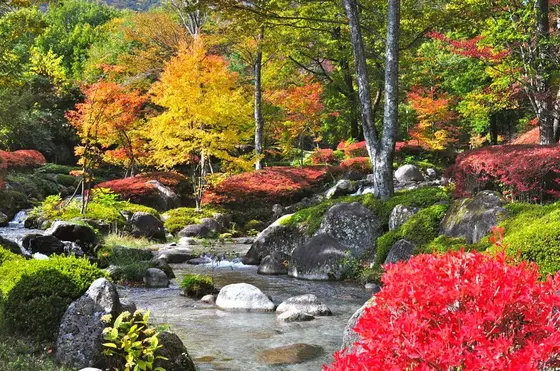 駒ヶ根ファームス周辺の紅葉