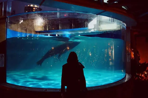 屋上エリア マリンガーデン