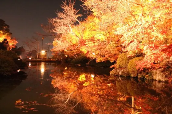 水面に映る紅葉