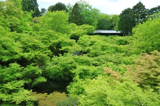 通天橋から臥雲橋の眺望