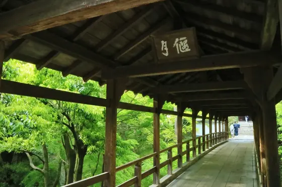 偃月橋