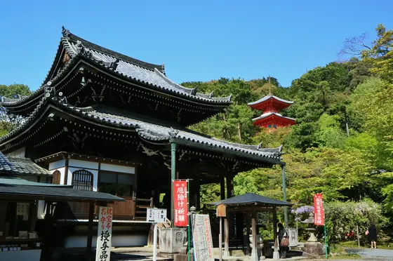 本堂と医聖堂