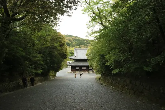 境内参道