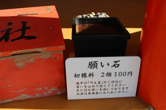 願い石を入れて願いを叶えよう！