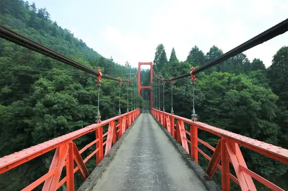 橋の真ん中から