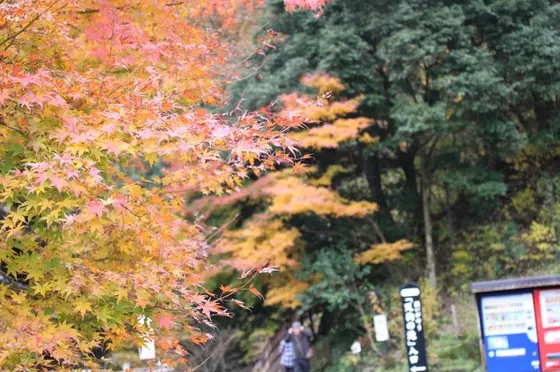 カメラは持参しよう！