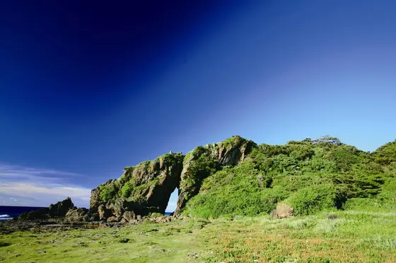 穴の中に入ると、子宮を感じる！？