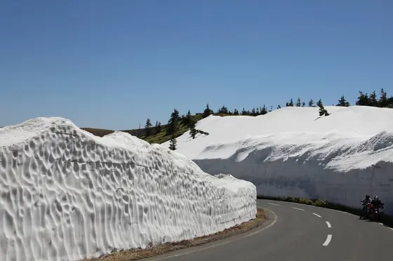 雪の回廊