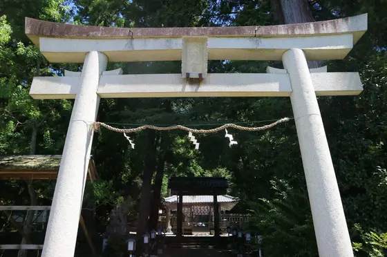 Torii gate
