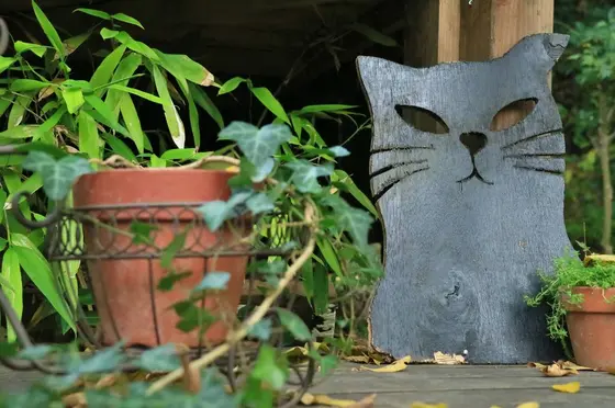 猫の細道③