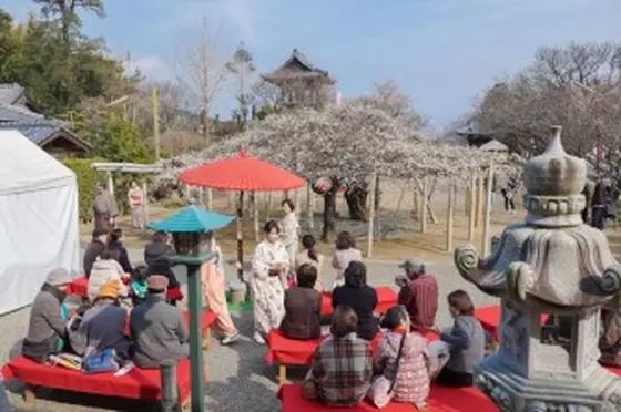 本東寺の境内