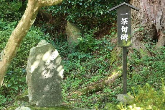 小林一茶の句なども。