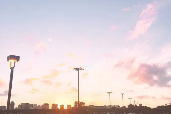 駐車場からの景色