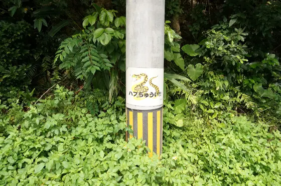 ハブちゅうい