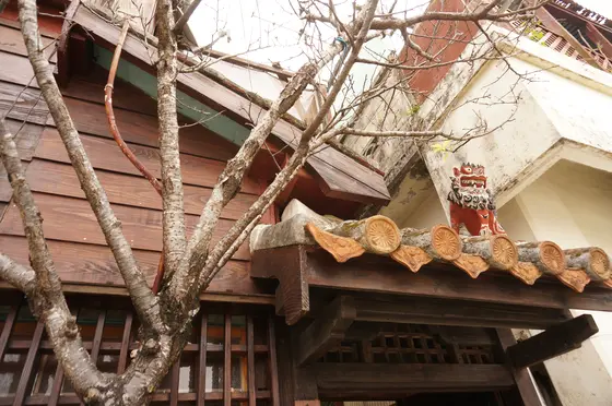 国際通りから少しそれると