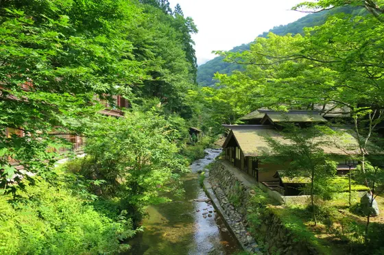 朝は裏手の散策もおすすめ！
