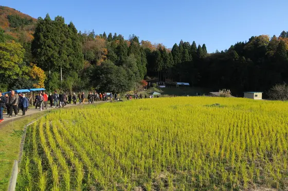 気分は里山散策