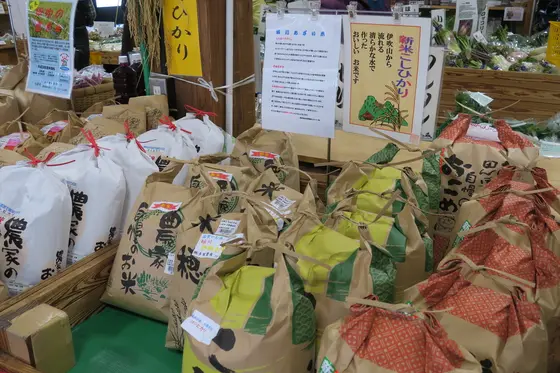 農産物がいっぱい