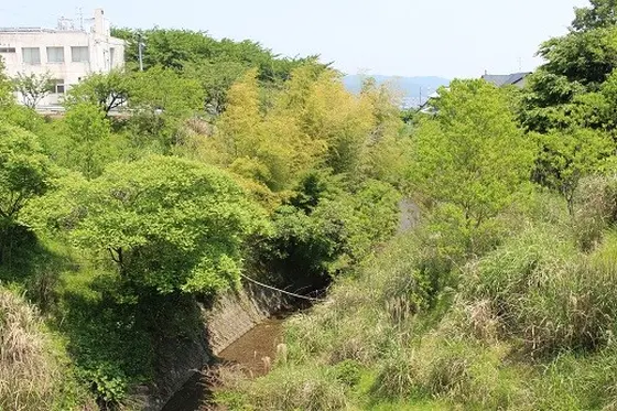 陣屋の前には谷が