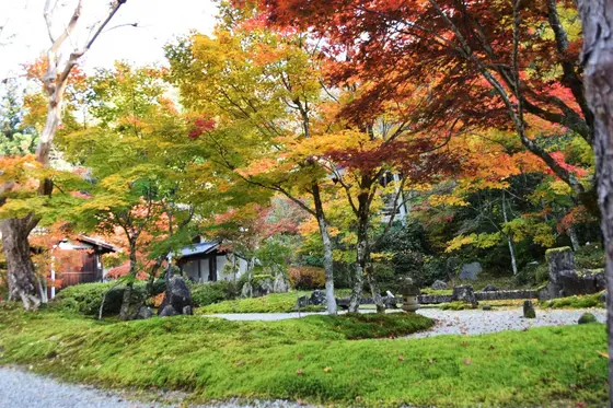 紅葉の定勝寺＜1＞